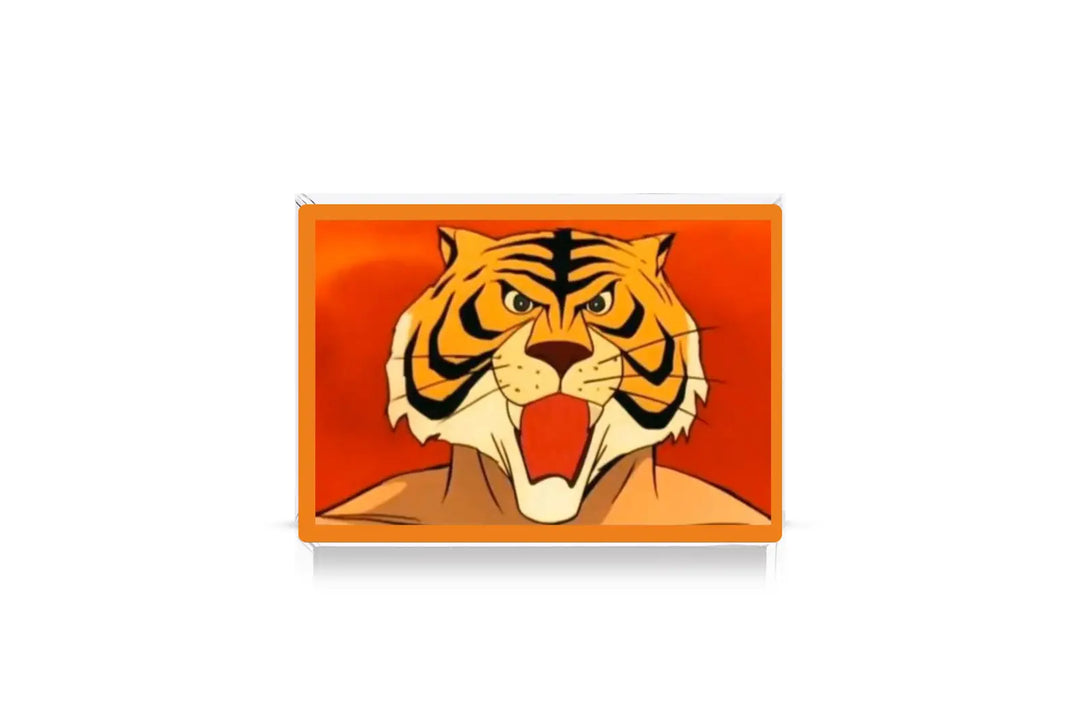 sample quadretti e magneti (9)