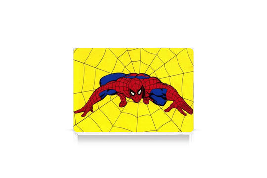 sample quadretti e magneti (10)