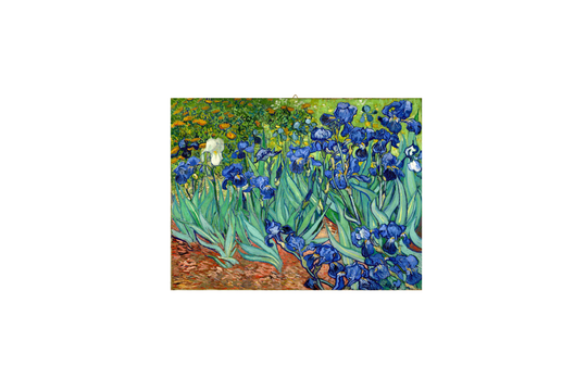 Tele 65x85